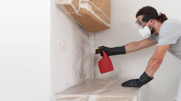 Professional Bathroom Mold Removal technician working in Wyckoff, NJ