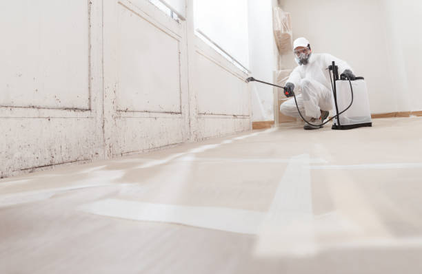 24/7 Emergency Bathroom Mold Removal experts in Wyckoff, NJ