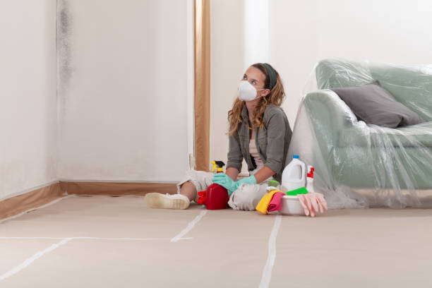 Trusted Crawl Space Mold Removal service in Wyckoff, NJ - Cheap Mold Removal