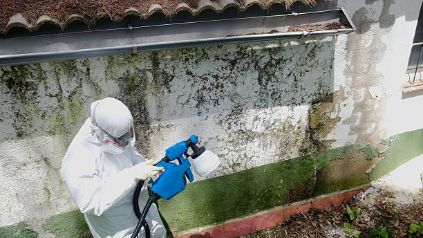 Trusted Mold Inspection service in Wyckoff, NJ - Cheap Mold Removal